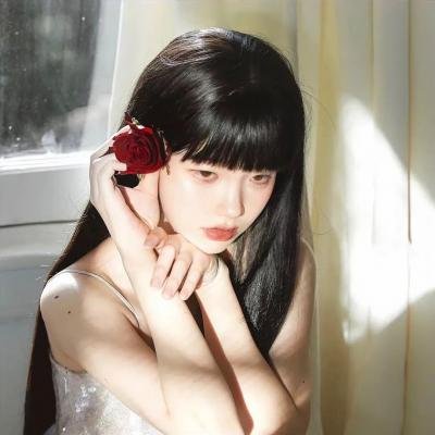 13朵玫瑰